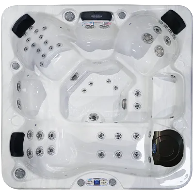 Avalon EC-849L hot tubs for sale in Bear